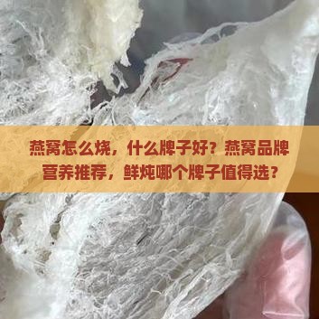 燕窝怎么烧什么牌子好