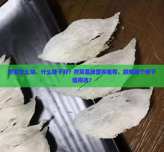 燕窝怎么烧什么牌子好