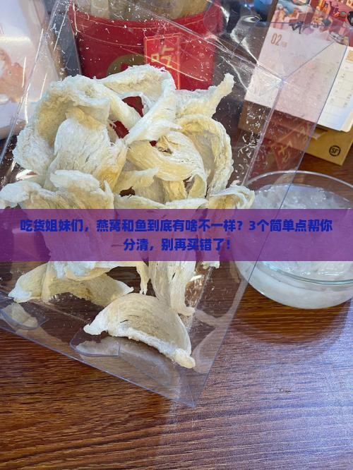 燕窝和鱼的区别在哪里 燕窝和鱼的区别在哪里
