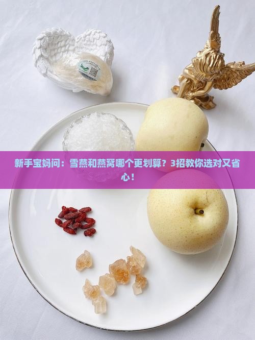 雪燕跟燕窝哪个好一点呢
