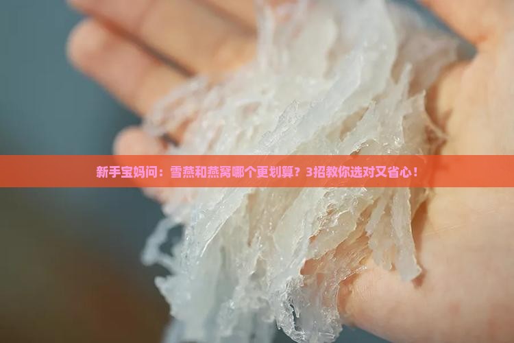 雪燕跟燕窝哪个好一点呢