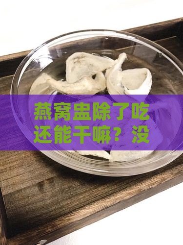 燕窝盅其他用处是什么