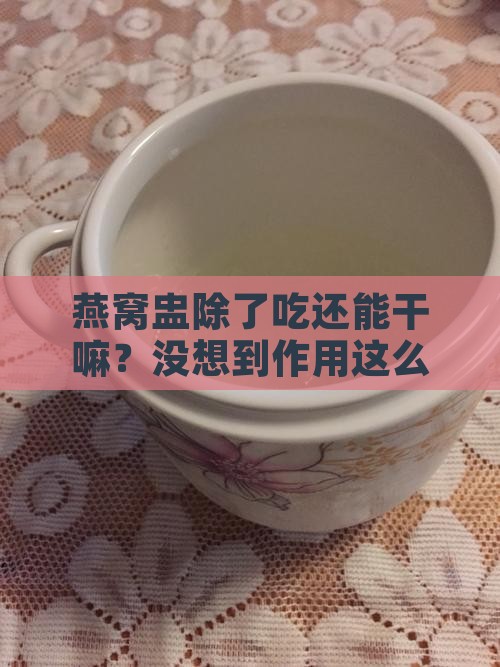 燕窝盅其他用处是什么