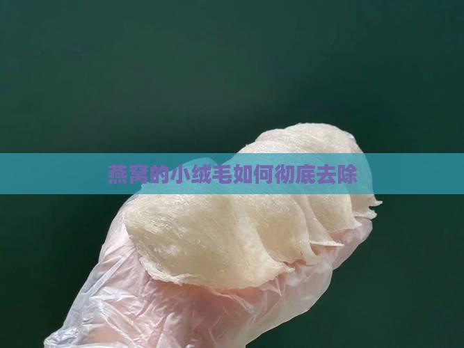 燕窝的小绒毛怎么去掉