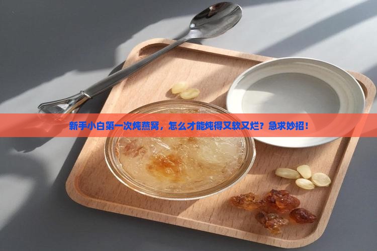 电锅炖燕窝怎么炖的烂