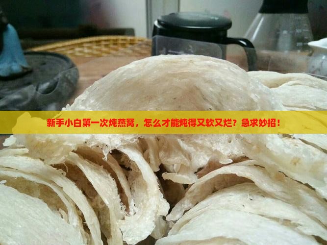 电锅炖燕窝怎么炖的烂