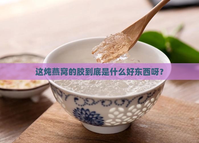 炖燕窝用的胶叫什么名字