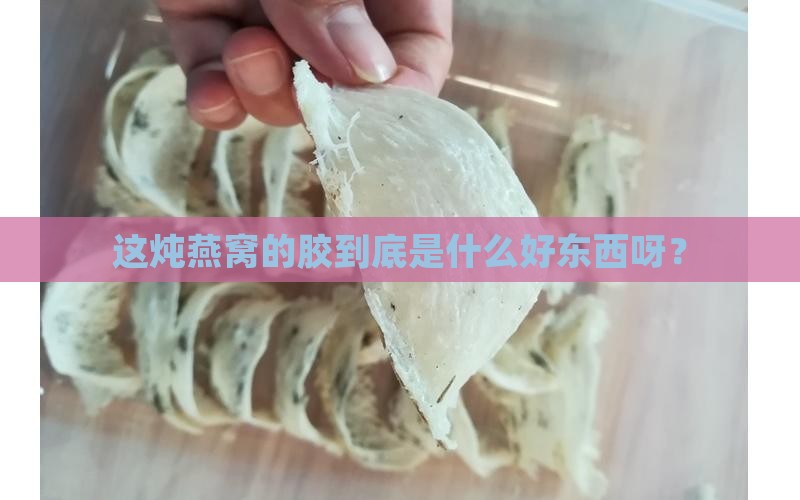 炖燕窝用的胶叫什么名字