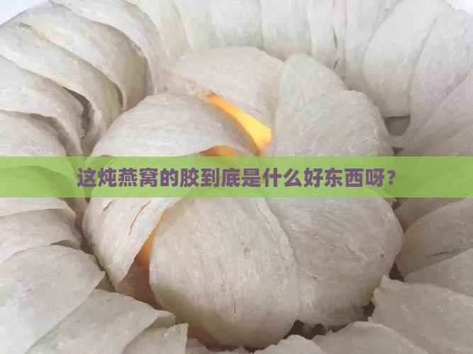炖燕窝用的胶叫什么名字