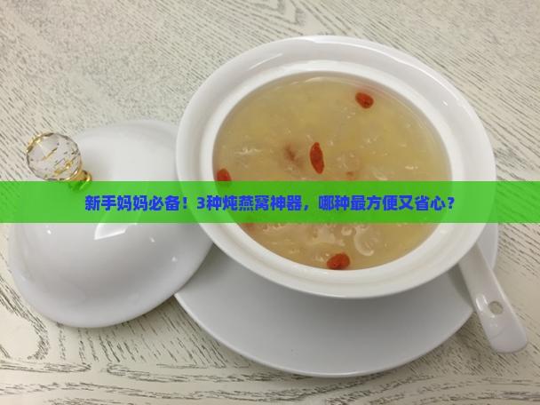 炖燕窝专用容器有哪些