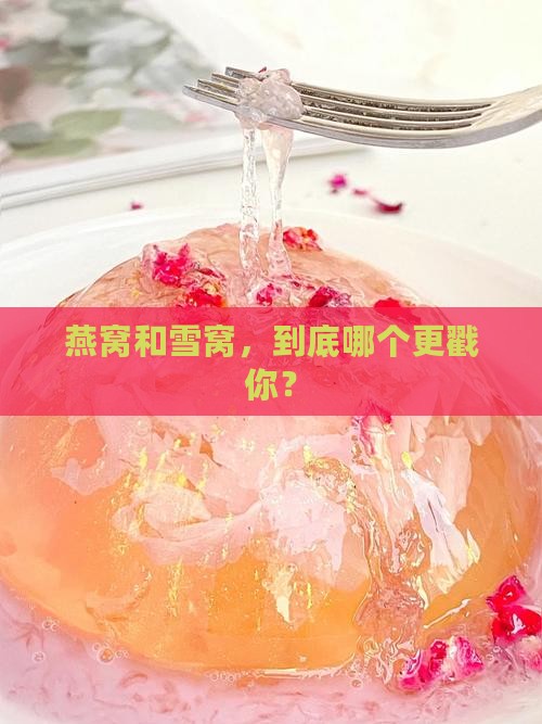 燕窝跟雪窝的差别是什么