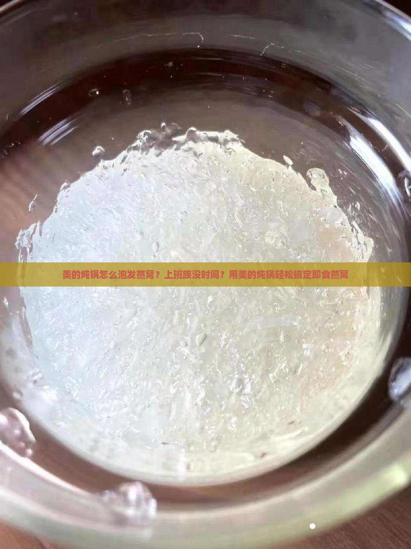 美的炖锅怎么泡发燕窝