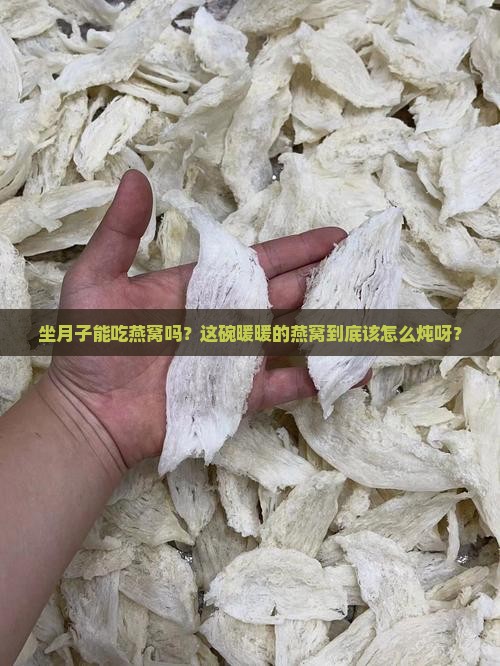 坐月子燕窝可以怎么炖