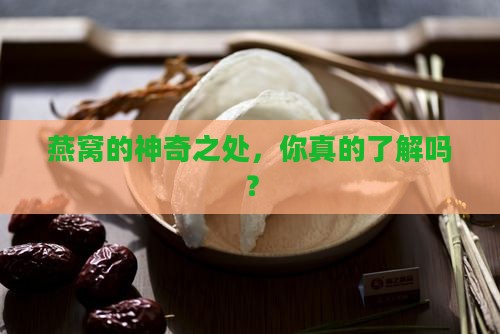 燕窝有什么功能与作用