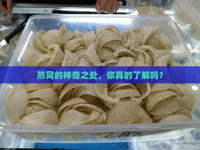 燕窝有什么功能与作用