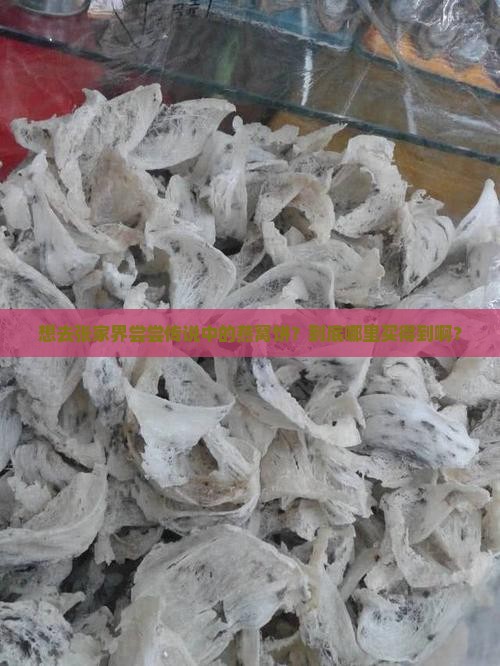 张家界燕窝饼哪里有卖的