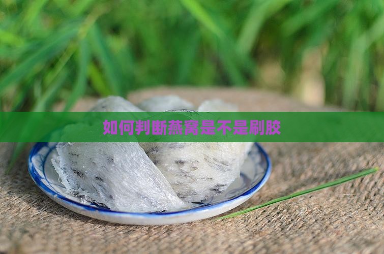 如何判断燕窝是不是刷胶