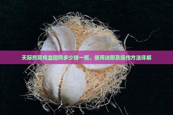天际燕窝炖盅团购多少钱