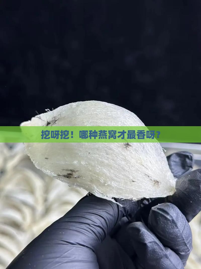 燕窝用什么样的窝好呢