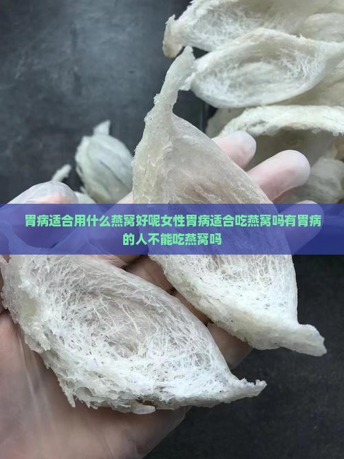胃病适合用什么燕窝好呢