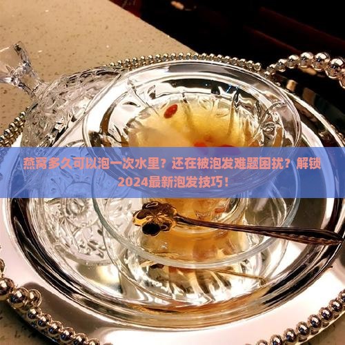 燕窝多久可以泡一次水里