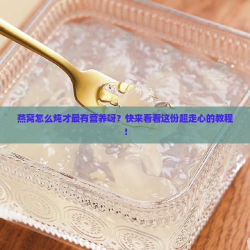燕窝如何炖才有营养价值