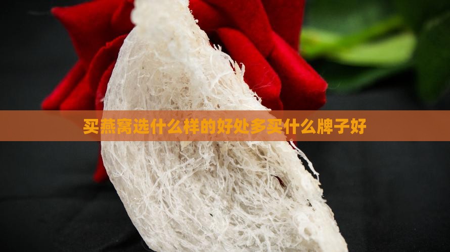 买燕窝选什么样的好处
