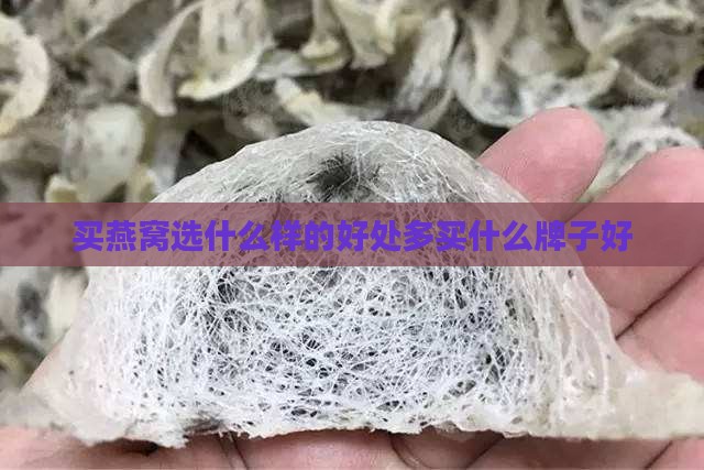 买燕窝选什么样的好处