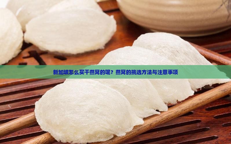 新加坡怎么买干燕窝的呢