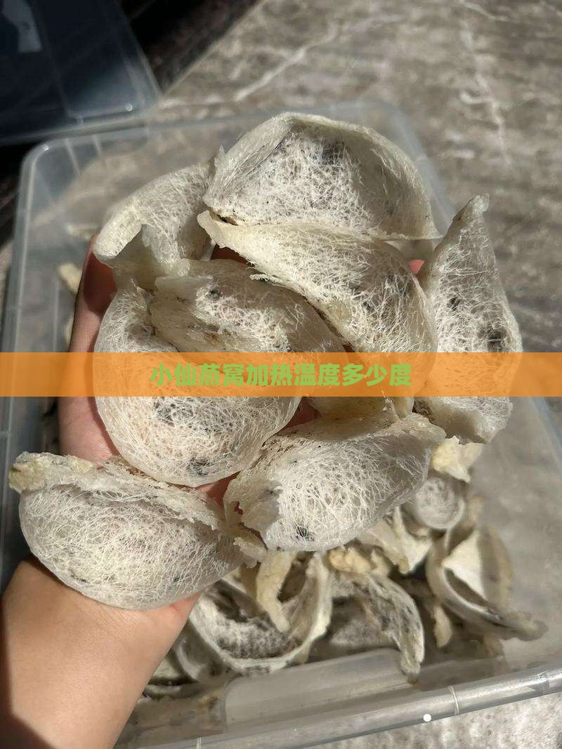 小仙炖燕窝加热器多少度
