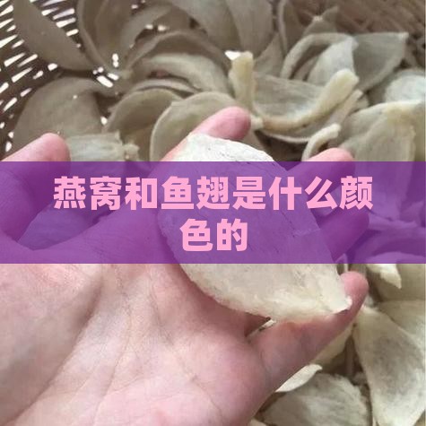 燕窝鱼翅是什么颜色的