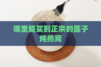 莲子炖燕窝哪里找的正宗