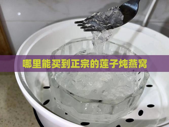 莲子炖燕窝哪里找的正宗