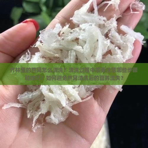 竹林里的燕窝怎么清洗的
