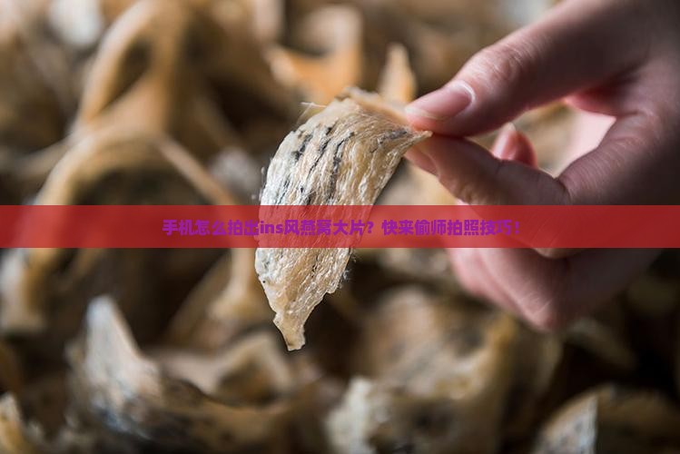 手机如何拍好燕窝照片呢