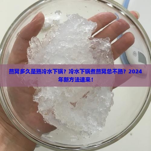 燕窝多久是熟冷水下锅