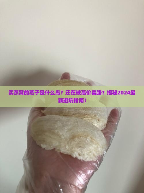 买燕窝的燕子是什么鸟