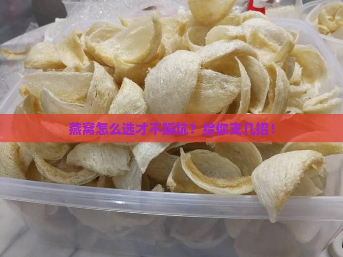 燕窝挑选什么样子的好