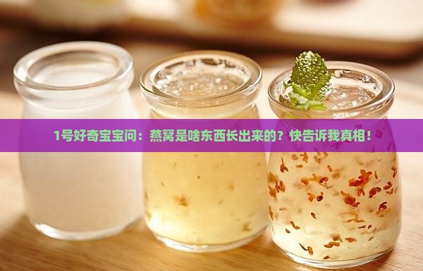 燕窝是什么东西长出来的