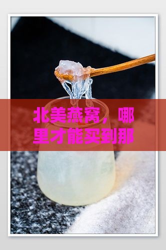 北美燕窝哪里买正宗好呢