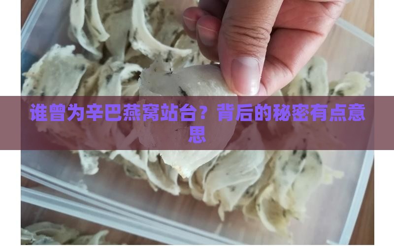 哪些人代言过辛巴燕窝