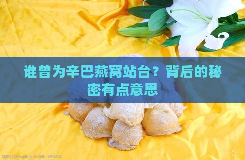哪些人代言过辛巴燕窝