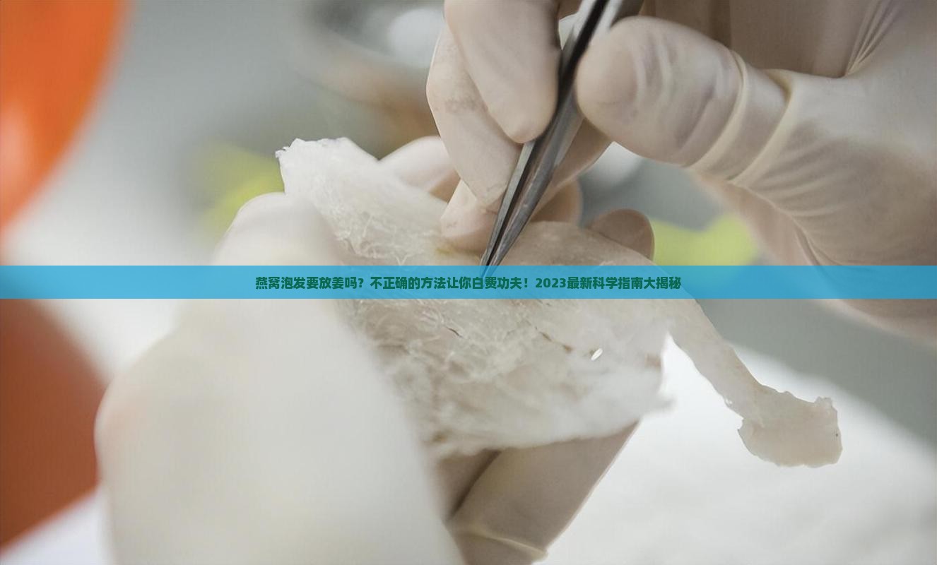 燕窝泡发要放姜吗怎么放