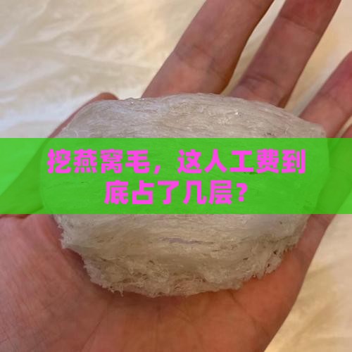 挑燕窝毛工钱占成本多少