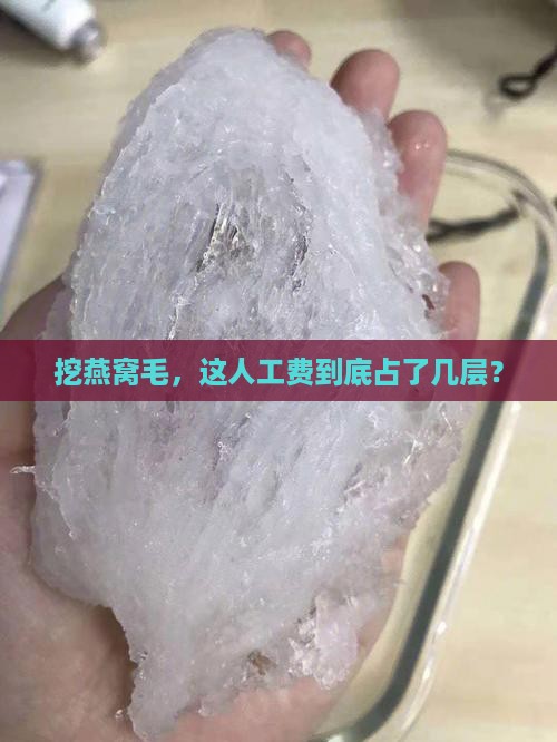 挑燕窝毛工钱占成本多少