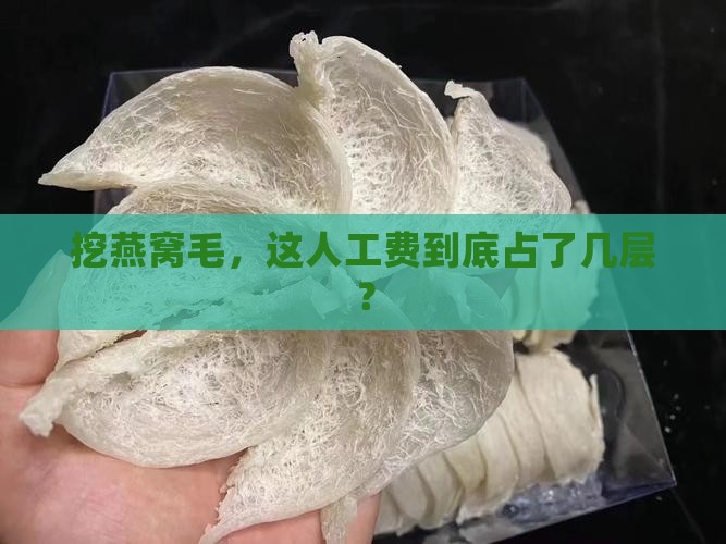 挑燕窝毛工钱占成本多少