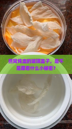 炖燕窝的炖盅玻璃怎么用