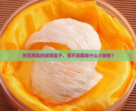 炖燕窝的炖盅玻璃怎么用