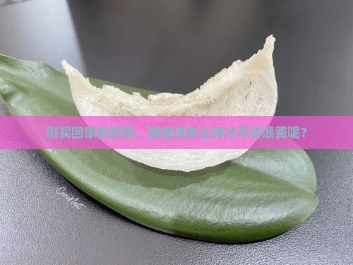 刚买的燕窝怎么储存好些