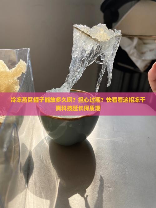 冷冻燕窝罐子能放多久啊